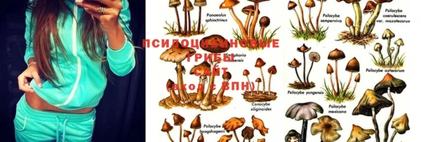 марки lsd Аркадак