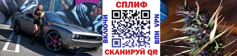 Канабис план нарко площадка состав Динская